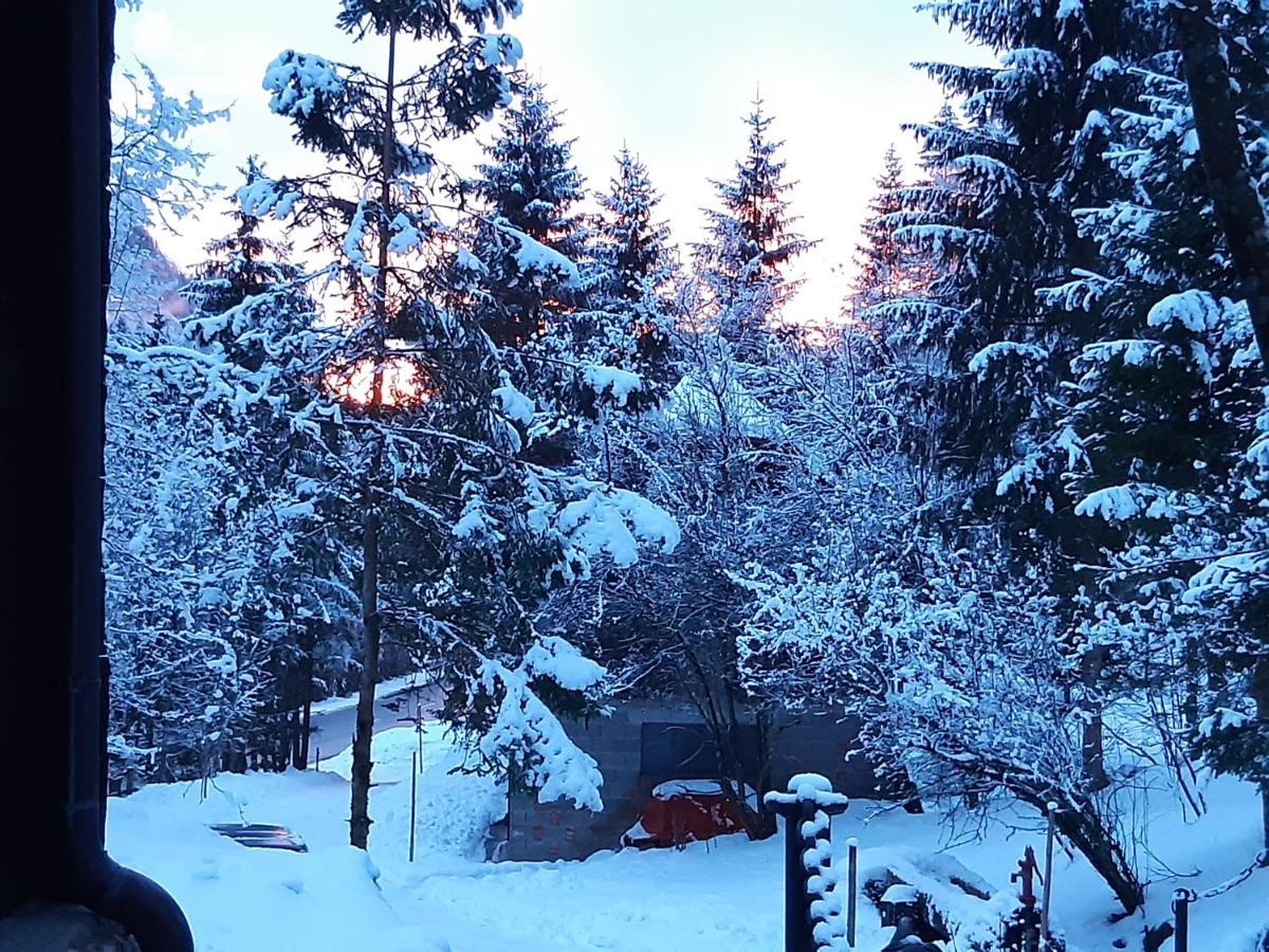 Ferienhaus Blommers Palfau Kültér fotó
