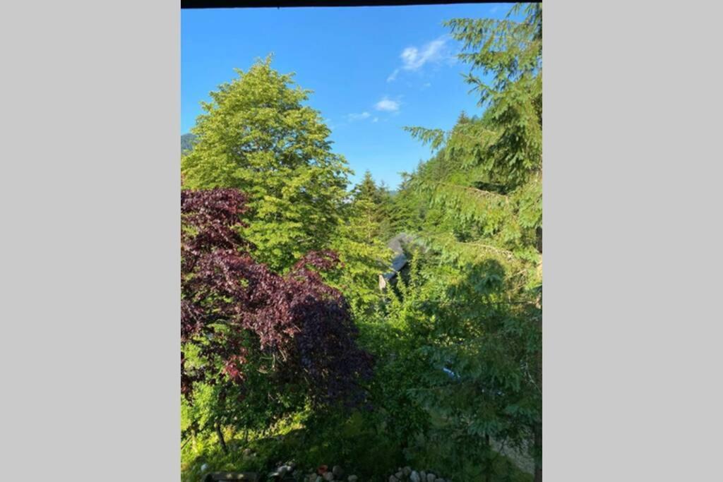 Ferienhaus Blommers Palfau Kültér fotó