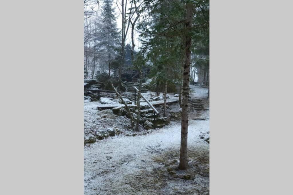 Ferienhaus Blommers Palfau Kültér fotó
