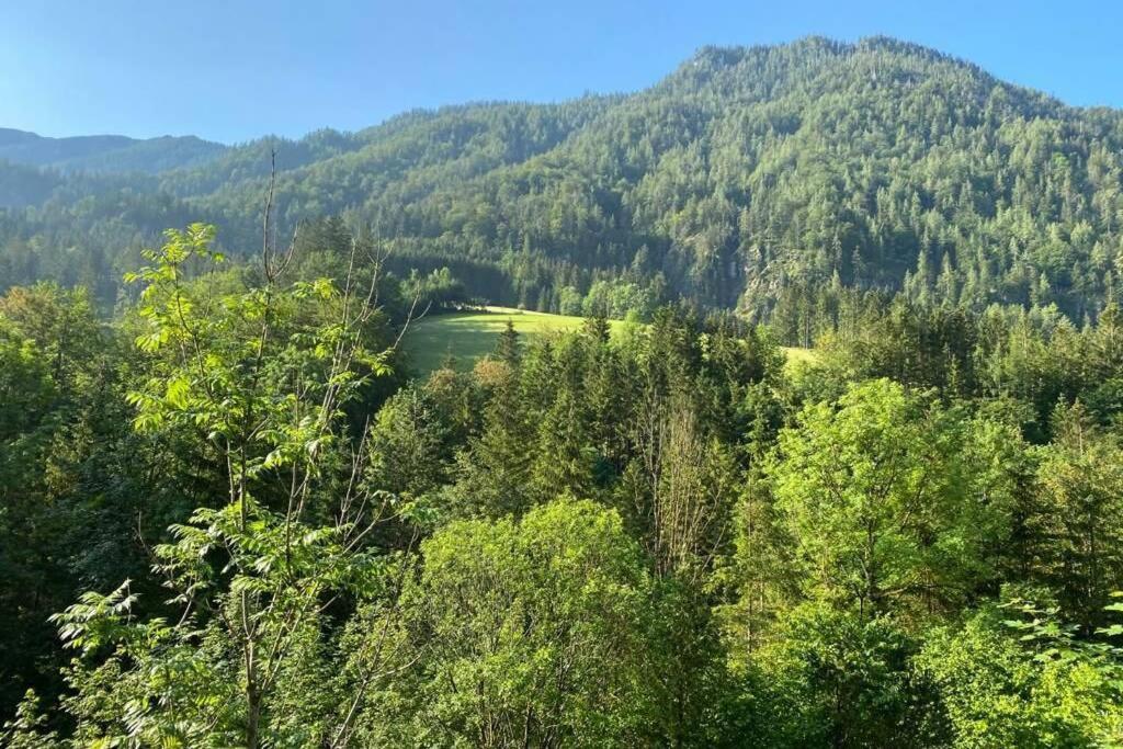 Ferienhaus Blommers Palfau Kültér fotó