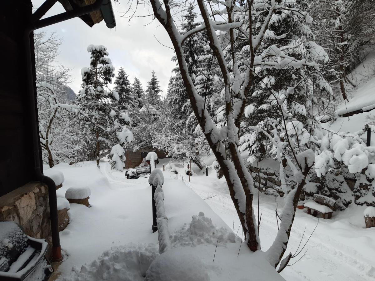 Ferienhaus Blommers Palfau Kültér fotó